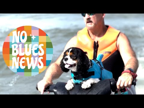 DOG EM'BARKS' ON JET SKI JOURNEY 🐶 | EPISODE 6