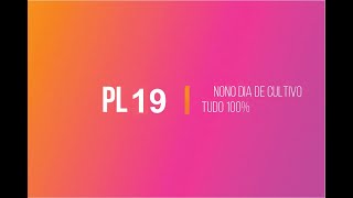 NONO DIA DE CULTIVO PL19 VÍDEO 13/32