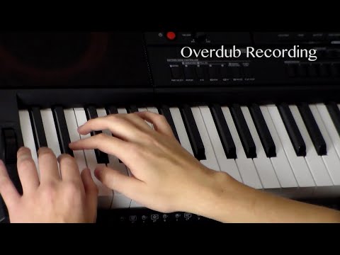 Video 7