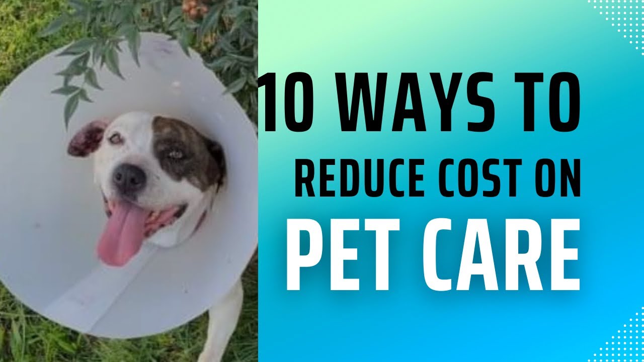 How to Save Money on Pet Care: /Finances/ Homemakers/