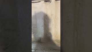 Basement2