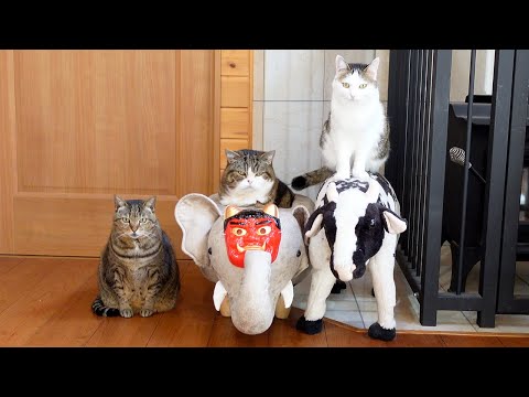 節分なねこ2025。-Cats and Setsubun 2025.-
