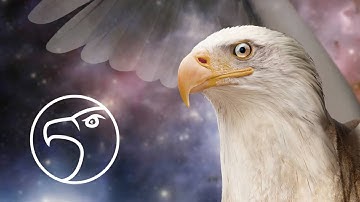 JENOPTIK GRYPHAX® Microscope Camera – High Image Quality