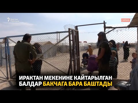 Video: Кэтринди ысымы менен качан жана кантип куттуктайбыз