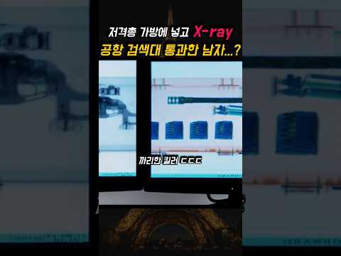 세계 최강 암살자의 생존 전쟁 시작...?
