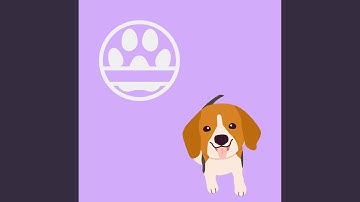 Mind-blowing Backdrops for Calming Down with Puppy