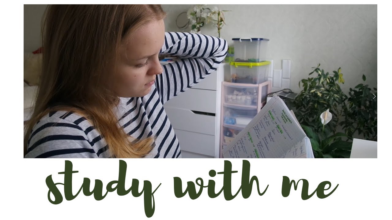 STUDY 16 | мотивация, учеба и университет