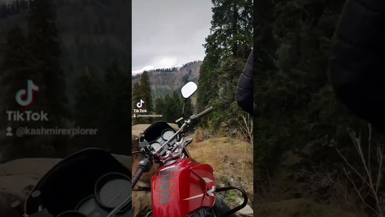 Scary Pine Forest Azad Kashmir || High Altitude || Wolf Home 