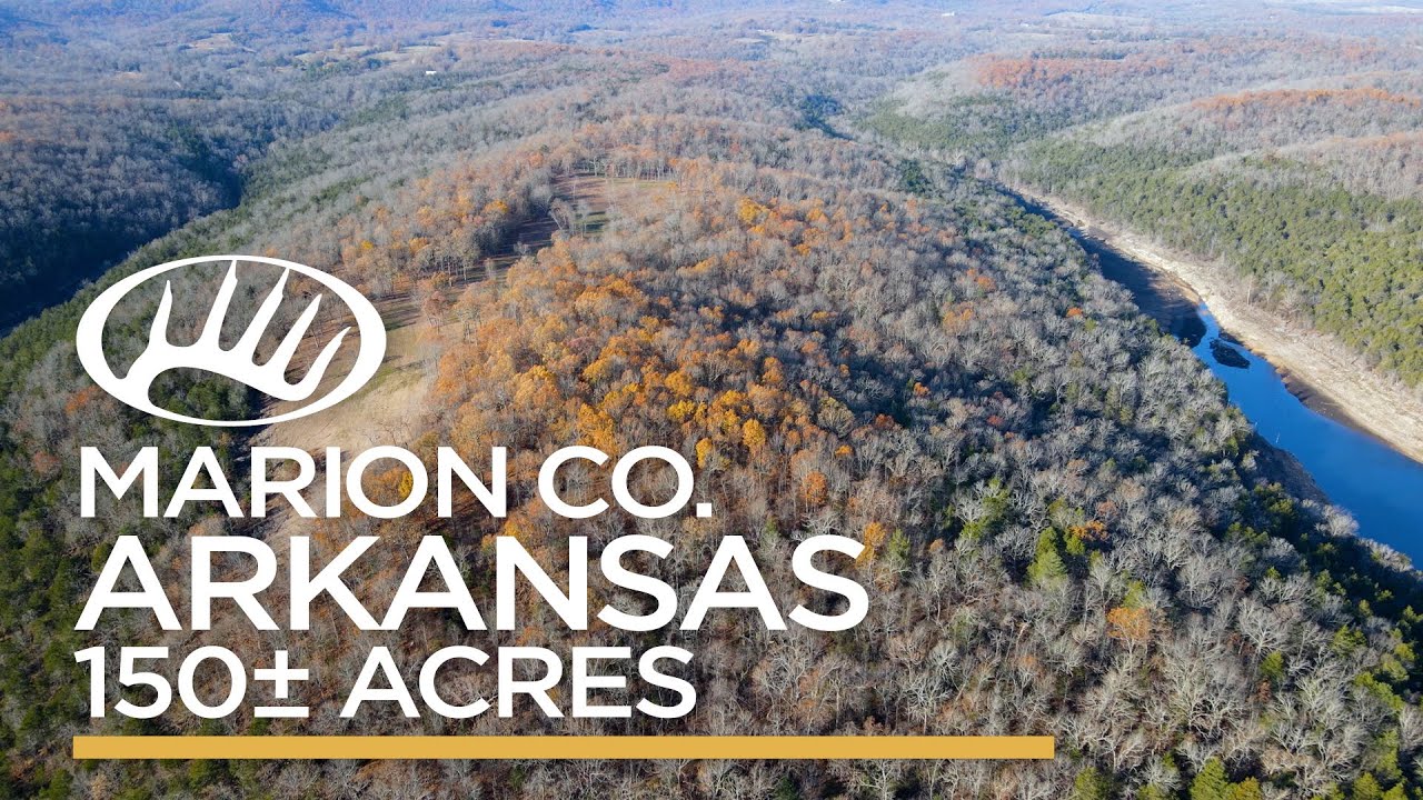 Marion County, AR 150± acres YouTube