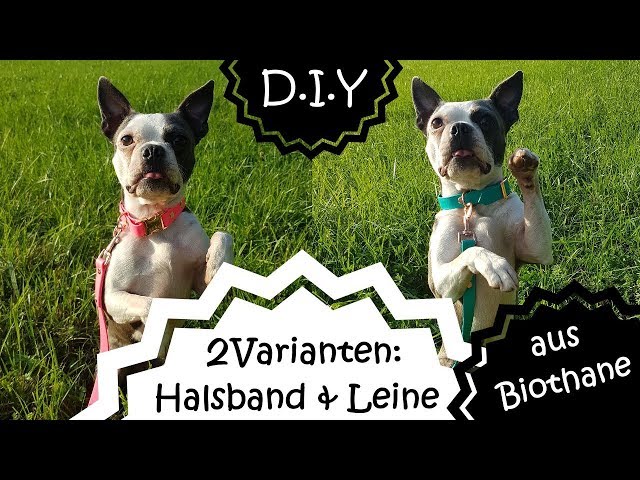 kudde hundebett ausverkauf zu sonderpreisen Hundebett KUDDE Kunstleder