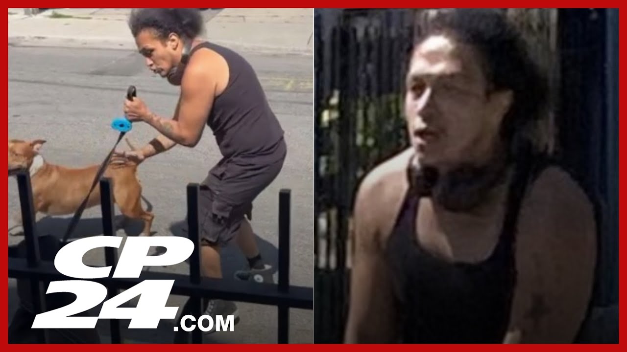 Police identify suspect wanted in dog attack investigation - YouTube