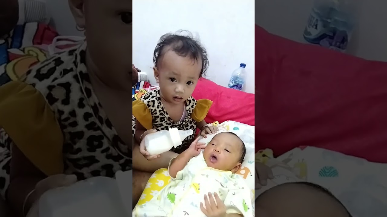 BALITA LUCU MOMONG BAYI ||KAKAK ALISHA UMUR 14BULAN PUNYA ADIK BARU UMUR 1MINGGU||