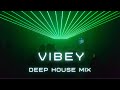 Ultimate Vibey Deep House Mix 2025 ๐ถ | FLEIV's Ibiza-Inspired Selection