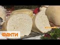 Гуцульская овечья брынза: цена и как изготавливают