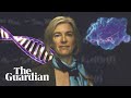 Crispr-Cas9 explained: the biggest revolution in gene editing