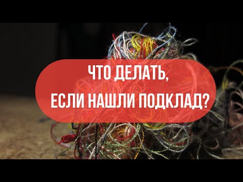 Видео: Может ли собака есть спаржу?