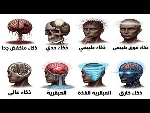 شرح جميع درجات الذكاء البشري في 14 دقيقة في اي درجة ذكاء انت