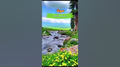 دحيم بن محمد ١٤٤٤هـ آية من سورة هود