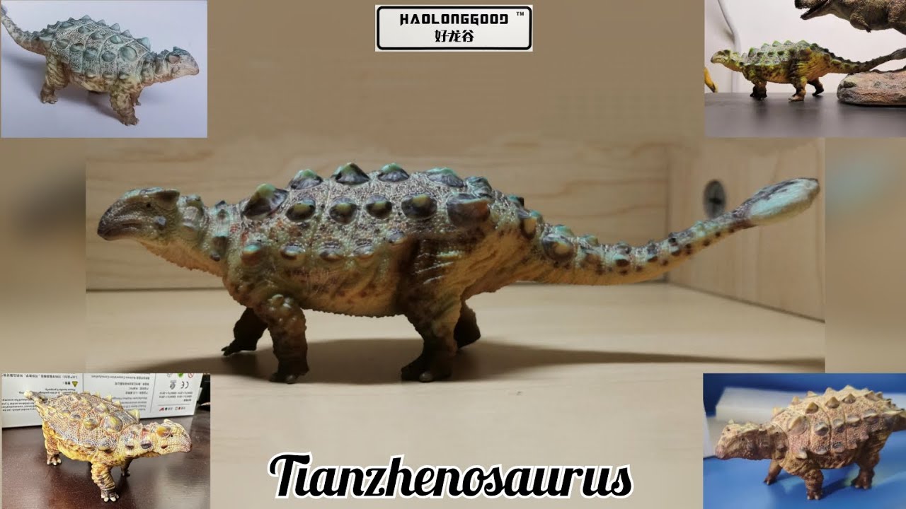 HAOLONGGOOD Tianzhenosaurus (2023) , PRODUCTO FINAL!!!, Análisis de las imágenes, en Español.