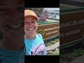 Photos of my time on Mackinac Island last weekend 🩷