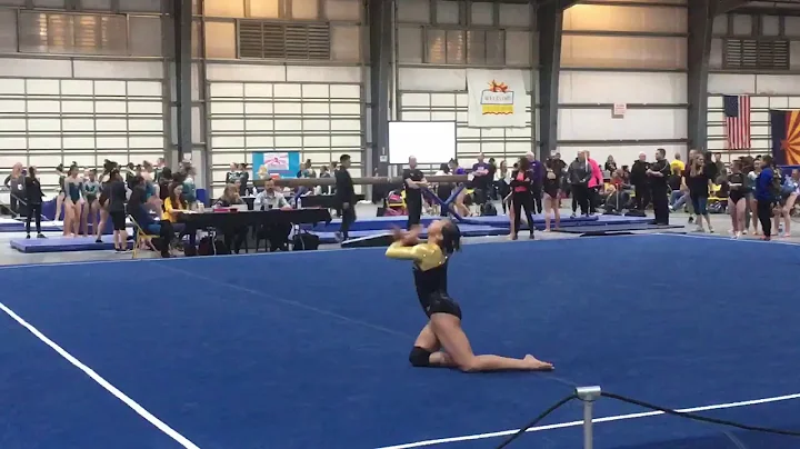 Alyssa Manley - (9.475) - 1st Place Floor Routine