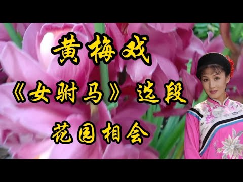 黄梅戏 《女驸马》选段 花园相会韩再芬精彩唱段，嗓音优美动听！【伶子音乐汇】