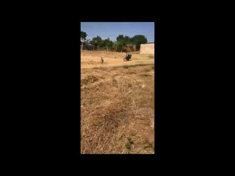 315 sqm Plot for Sale in Mayange, Bugesera