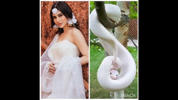 Shivanya #dress 👗 matching 🐍#shorts #video #viral #youtube #ytshorts #trending