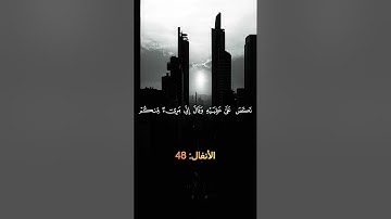 #القرآن_الكريم #راحة_نفسية #ارح_قلبك #تلاوة_خاشعة #ماهر_المعيقلي #اكسبلور #المصحف #لايك #تلاوة_قرآن