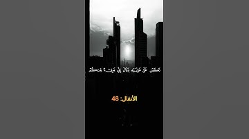 #القرآن_الكريم #راحة_نفسية #ارح_قلبك #تلاوة_خاشعة #ماهر_المعيقلي #اكسبلور #المصحف #لايك #تلاوة_قرآن