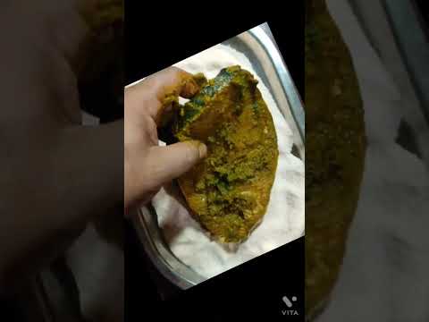 surmai fish fry#shorts