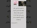شعر عاشرت كل الناس وماكو بغلاتك