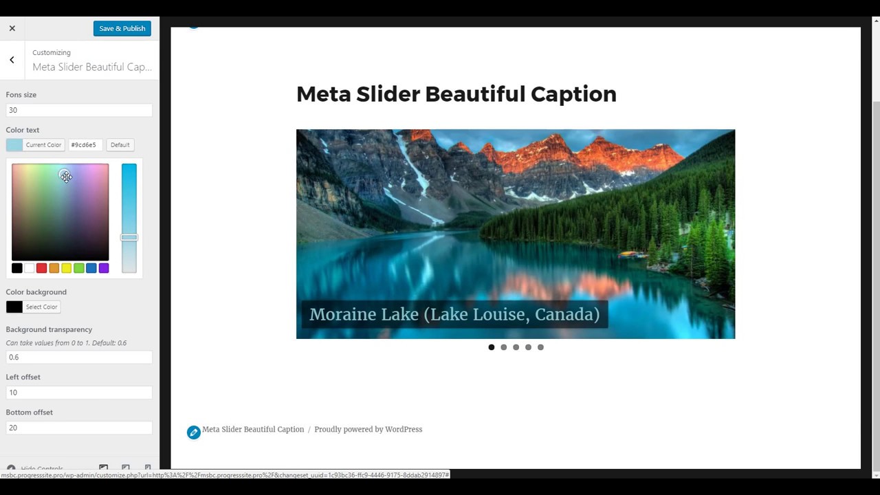 Meta Slider Beautiful Caption