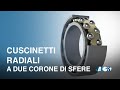 Cuscinetti Radiali a due corone di sfere