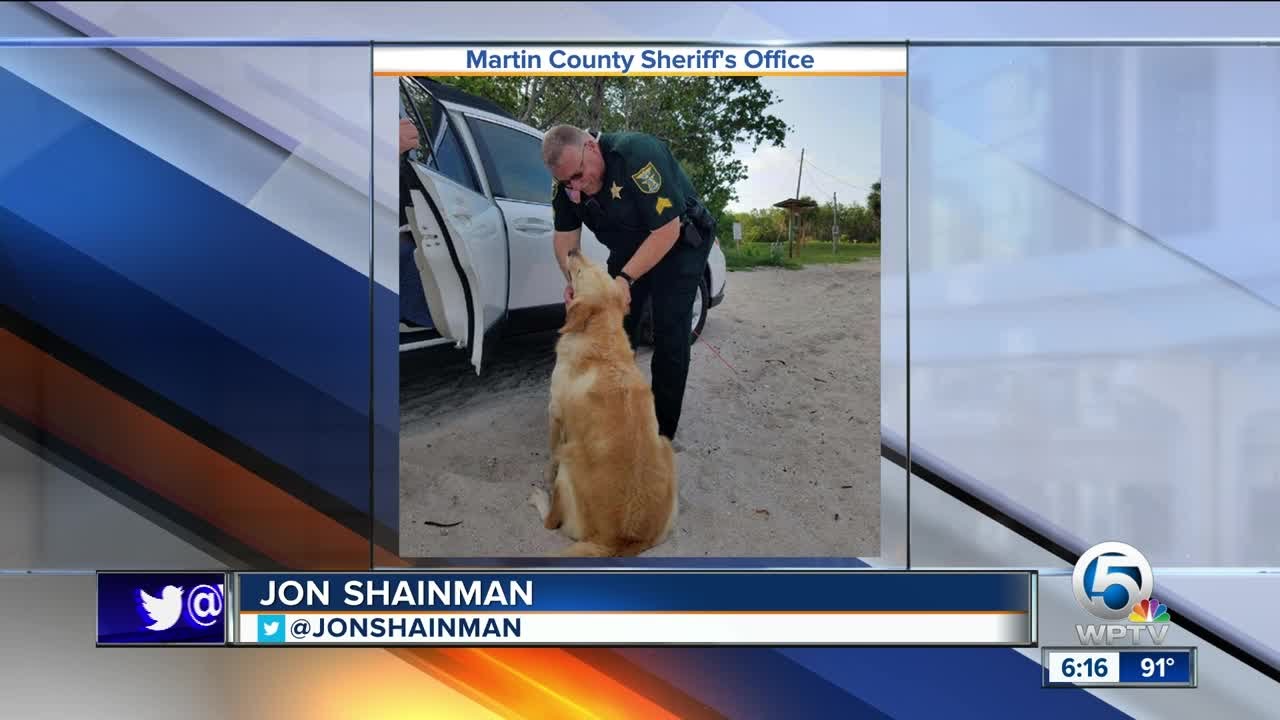 Martin County Sheriff's Deputy rescues dog from hot car - YouTube