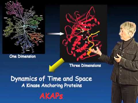 Susan Taylor (UCSD) Part 3: Protein Kinase Regulation and Localization