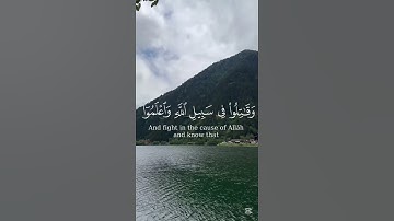 تلاوة خاشعة للمنشاوي❤️🙂‍↔️ #قرآن #اكسبلور #quran #تلاوة_خاشعة #راحة_نفسية