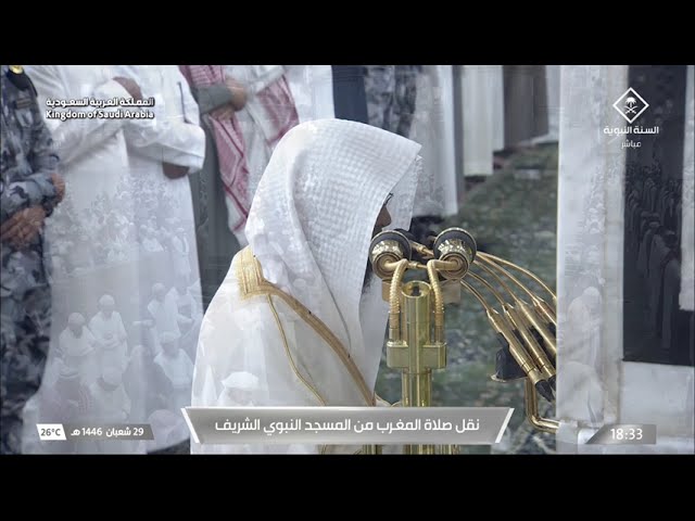 صلاة المغرب للشيخ محمد برهجي 29 شعبان 1446هـ