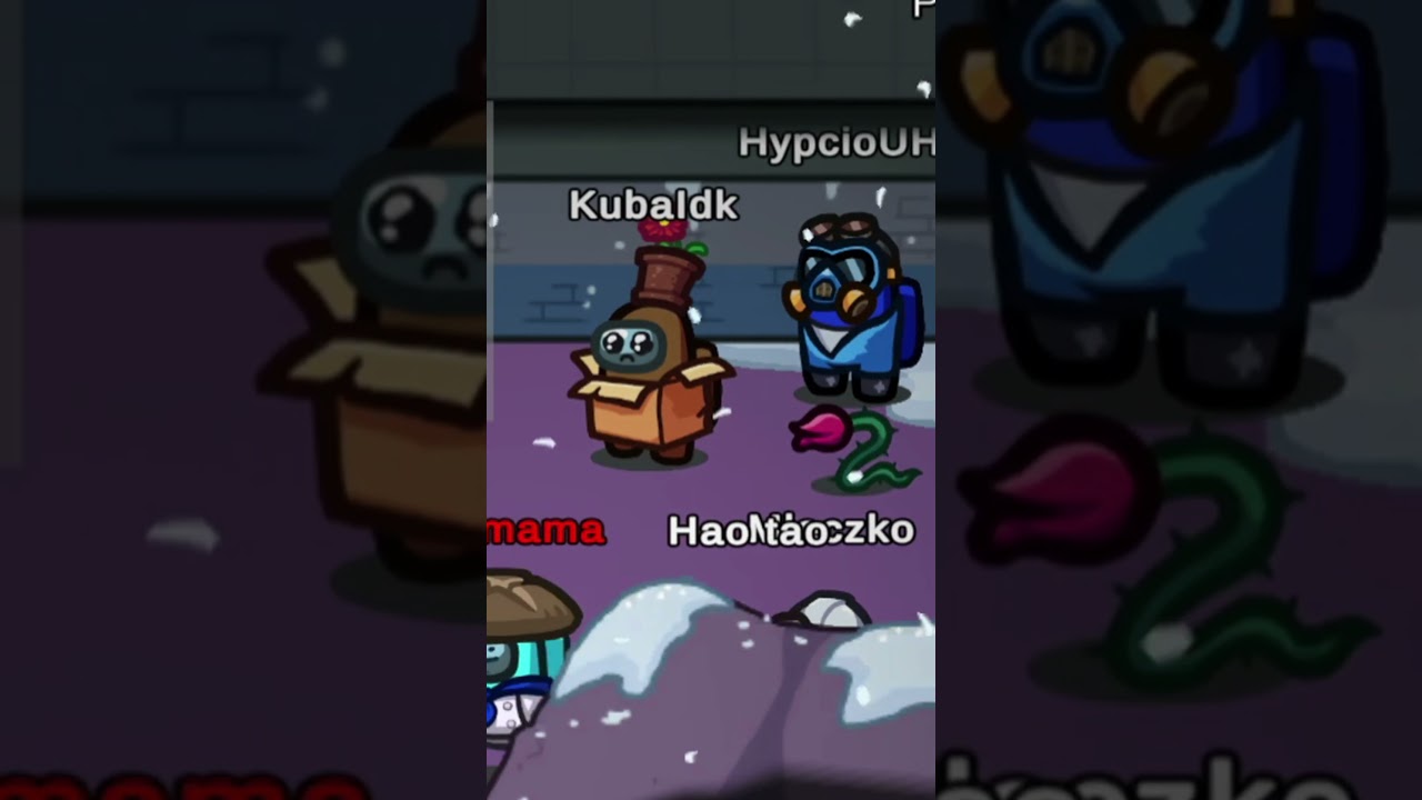 Solówa za kamieniem 