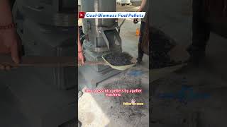 Coal & Biomass Pellets: High Calorific Value & Eco-friendly #biomasspelletmachine