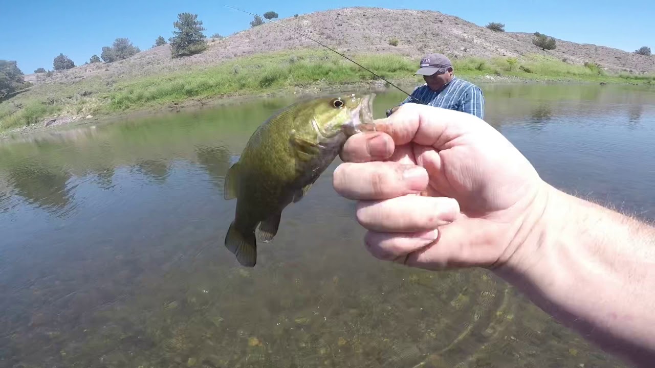 John day river bass & catfish YouTube