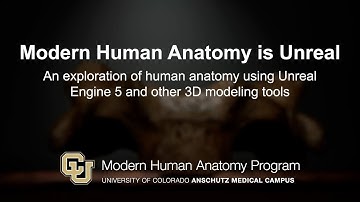 Modern Human Anatomy is Unreal