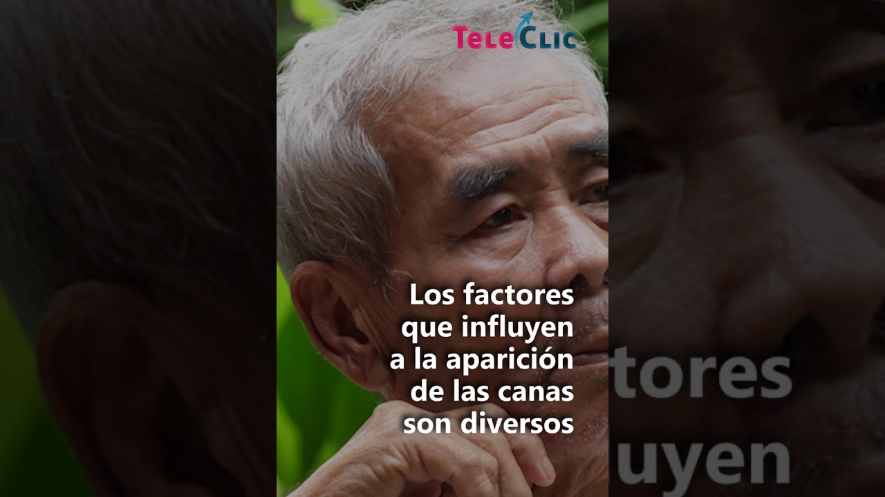 Porque Le Salen Canas A Los Niños ¿Por qué salen las canas? - YouTube