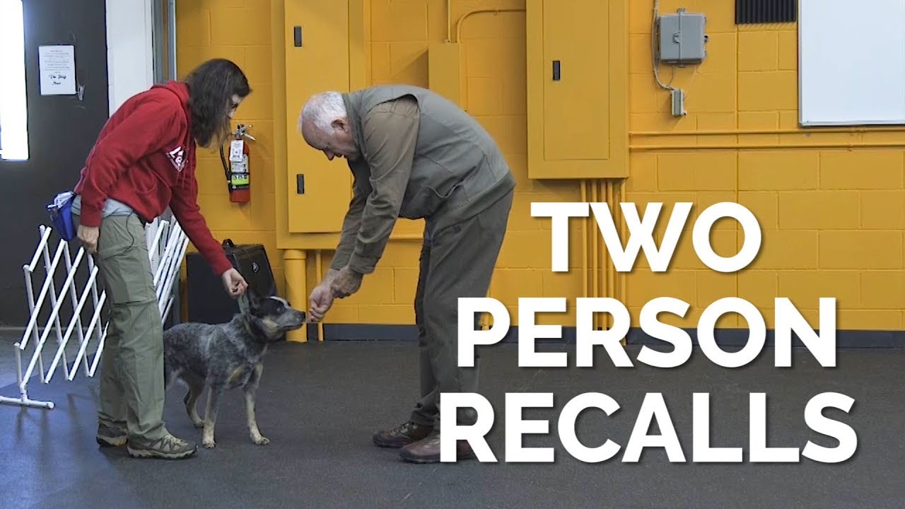 toysrus Two Person Recall Drills