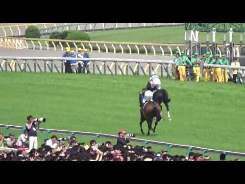 2016 日本ダービー 入場