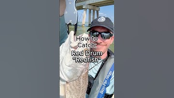 How to Catch Redfish 3 Different Ways #fishing #redfish #inshorefishing #surffishing