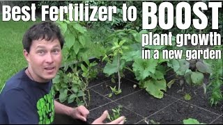 Best Fertilizer to Boost Plant Growth in a New Garden