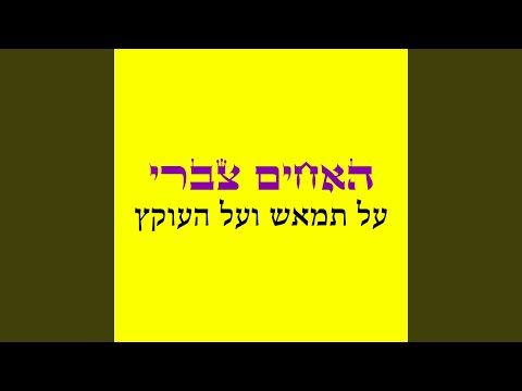 שירו של שפשף 