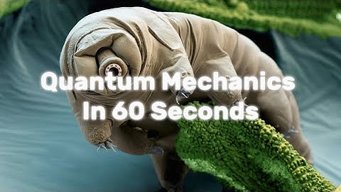Explaining Quantum Mechanics in 60 Seconds ⏱️