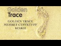 Golden Trace - начать знакомство